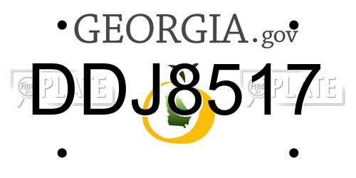DDJ8517 Georgia License Plate