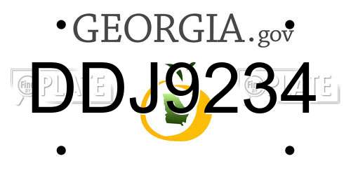 DDJ9234 Georgia License Plate