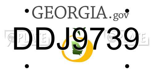DDJ9739 Georgia License Plate