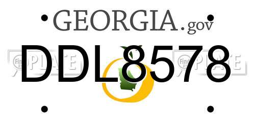 DDL8578 Georgia License Plate