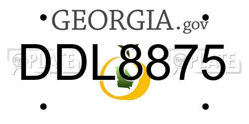 DDL8875 Georgia License Plate