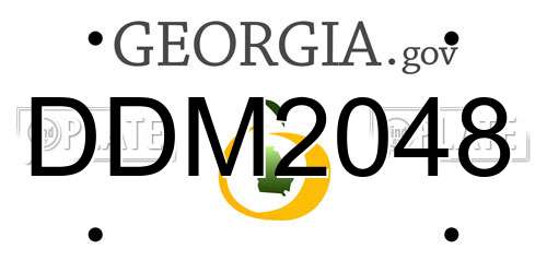 DDM2048 Georgia License Plate