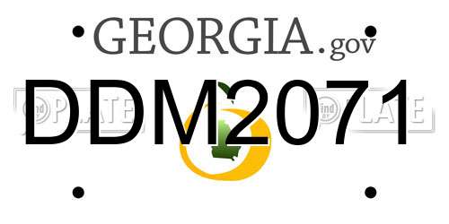 DDM2071 Georgia License Plate
