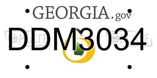 DDM3034 Georgia License Plate