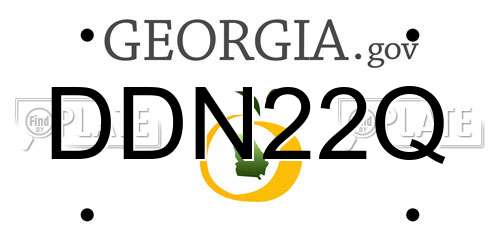 DDN22Q Georgia License Plate