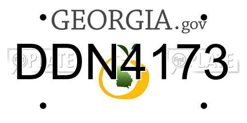DDN4173 Georgia License Plate