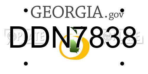 DDN7838 Georgia License Plate