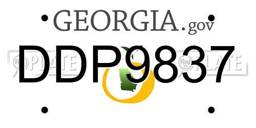 DDP9837 Georgia License Plate