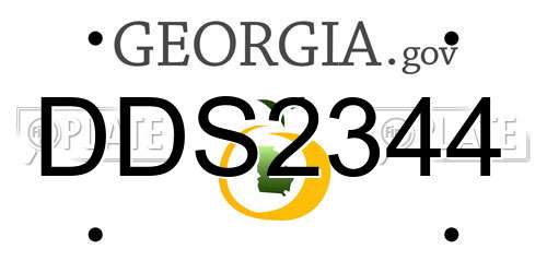 DDS2344 Georgia License Plate