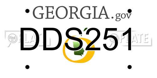 DDS251 Georgia License Plate
