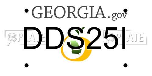 DDS25I Georgia License Plate