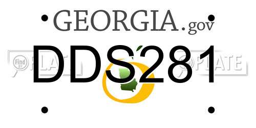 DDS281 Georgia License Plate