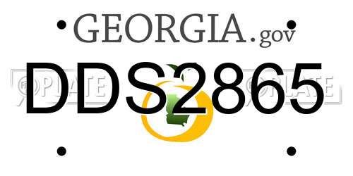 DDS2865 Georgia License Plate