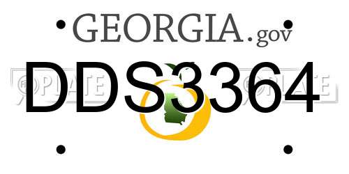 DDS3364 Georgia License Plate