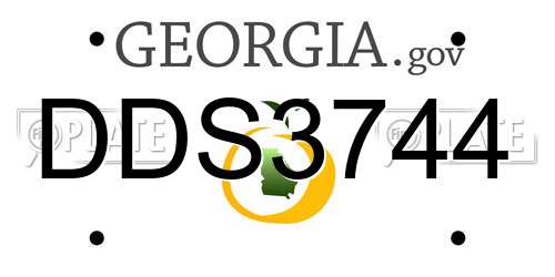 DDS3744 Georgia License Plate