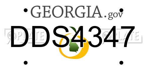 DDS4347 Georgia License Plate