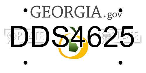 DDS4625 Georgia License Plate