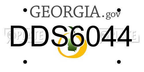 DDS6044 Georgia License Plate