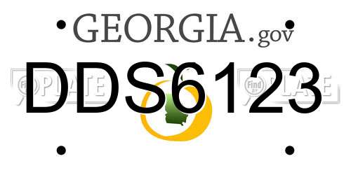DDS6123 Georgia License Plate