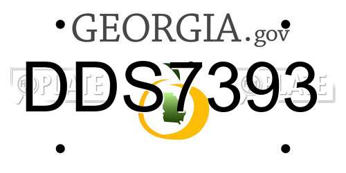 DDS7393 Georgia License Plate