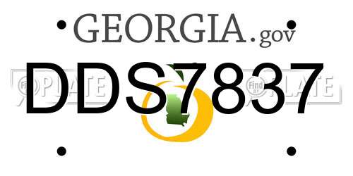 DDS7837 Georgia License Plate
