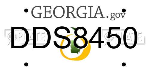 DDS8450 Georgia License Plate