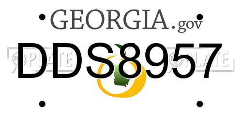 DDS8957 Georgia License Plate