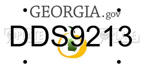 DDS9213 Georgia License Plate