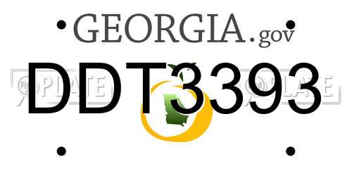 DDT3393 Georgia License Plate
