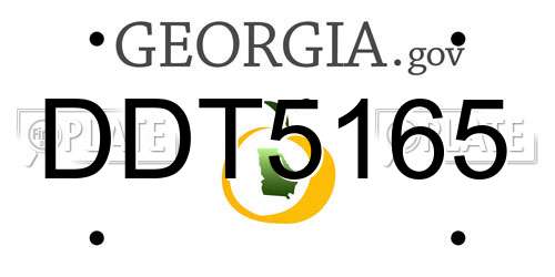 DDT5165 Georgia License Plate