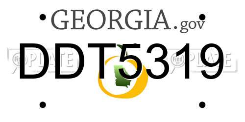 DDT5319 Georgia License Plate
