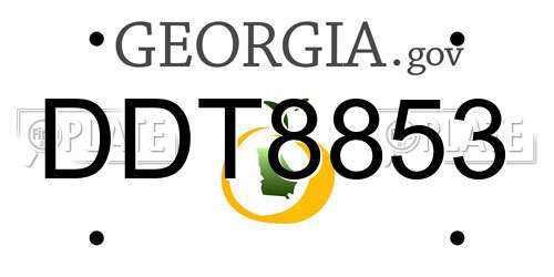 DDT8853 Georgia License Plate