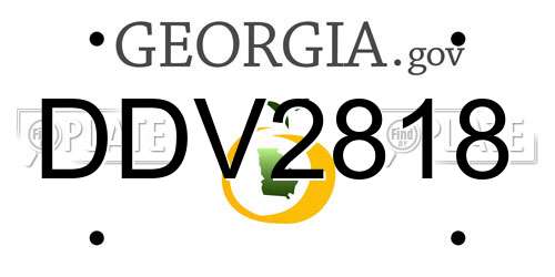 DDV2818 Georgia License Plate