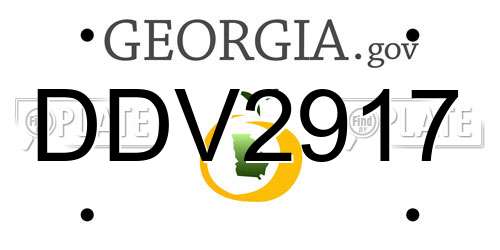 DDV2917 Georgia License Plate