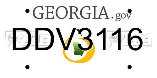 DDV3116 Georgia License Plate