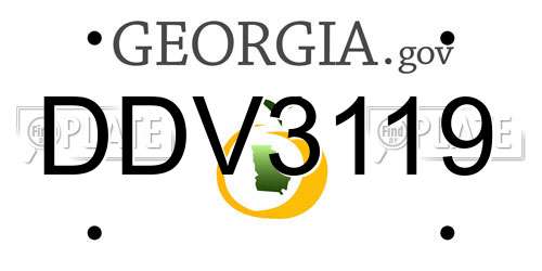 DDV3119 Georgia License Plate