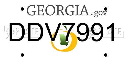 DDV7991 Georgia License Plate