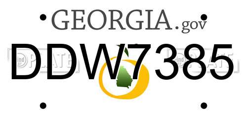 DDW7385 Georgia License Plate