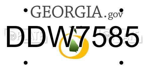 DDW7585 Georgia License Plate