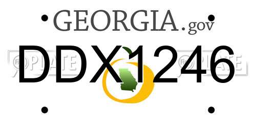 DDX1246 Georgia License Plate