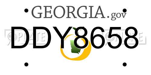 DDY8658 Georgia License Plate