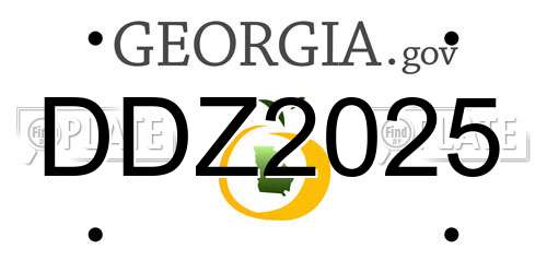 DDZ2025 Georgia License Plate
