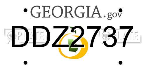 DDZ2737 Georgia License Plate
