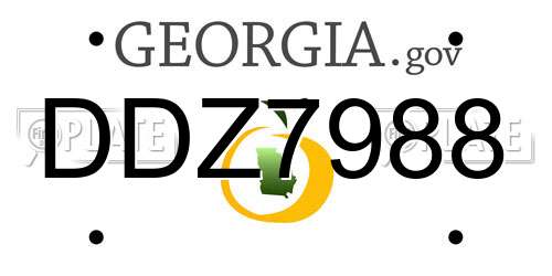 DDZ7988 Georgia License Plate