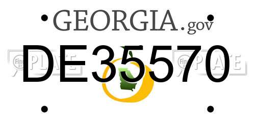 DE35570 Georgia License Plate