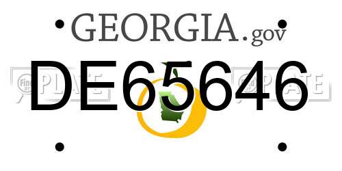 DE65646 Georgia License Plate