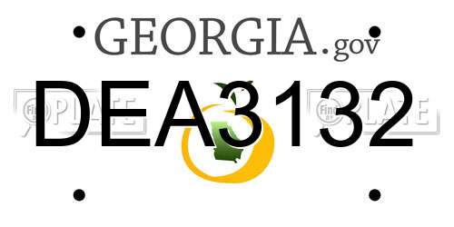 DEA3132 Georgia License Plate