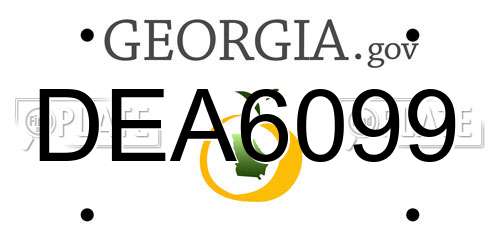 DEA6099 Georgia License Plate