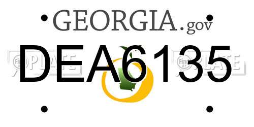 DEA6135 Georgia License Plate