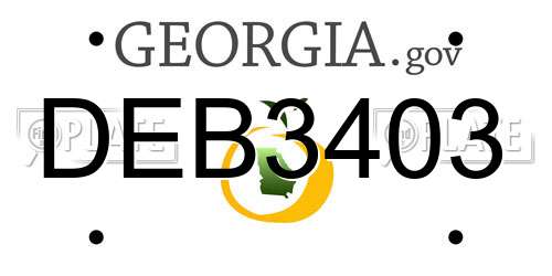 DEB3403 Georgia License Plate